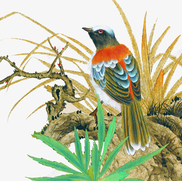 手绘花鸟装饰画png免抠素材_新图网 https://ixintu.com 清新装饰画 花鸟画装饰画 鸟类工笔画 鸟类插画 鸟类油画
