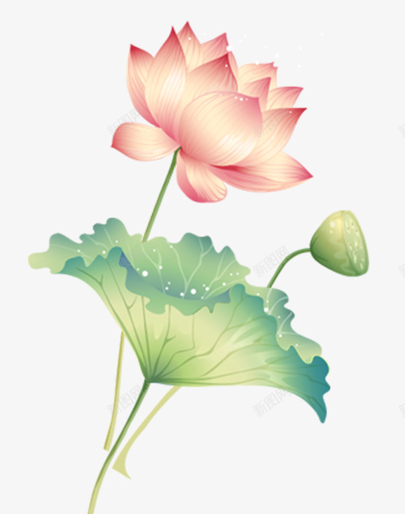 清新荷花png免抠素材_新图网 https://ixintu.com 中国风 中秋节 卡通手绘 清新荷花 荷塘月色 赏月亮
