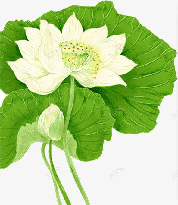荷花png免抠素材_新图网 https://ixintu.com 中国风荷花 小清新荷花 荷花荷叶