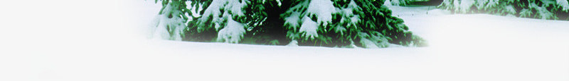 冬日雪后树木场景png免抠素材_新图网 https://ixintu.com 冬日 场景 树木 雪后