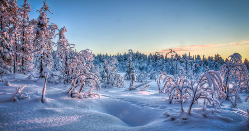 环境渲染效果森林雪景场景png免抠素材_新图网 https://ixintu.com 场景 效果 森林 渲染 环境 雪景
