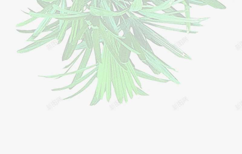 白色倒立盆栽植物png免抠素材_新图网 https://ixintu.com 倒立 植物 白色 盆栽