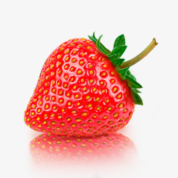 逼真的手绘草莓png免抠素材_新图网 https://ixintu.com 手绘 红色草莓 草莓 逼真