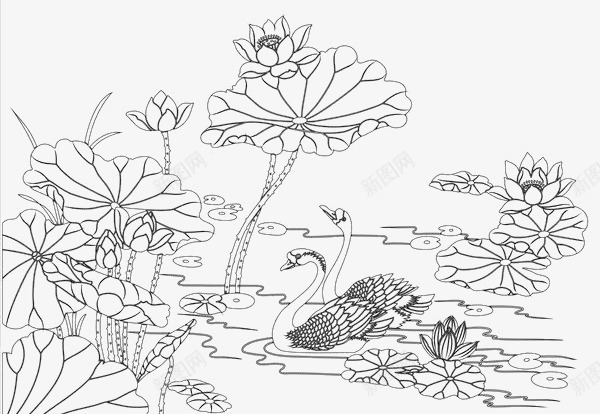 简笔画天鹅荷塘png免抠素材_新图网 https://ixintu.com 天鹅荷塘 简笔画 简笔荷花 简笔莲花 荷花儿 荷花简笔 速写