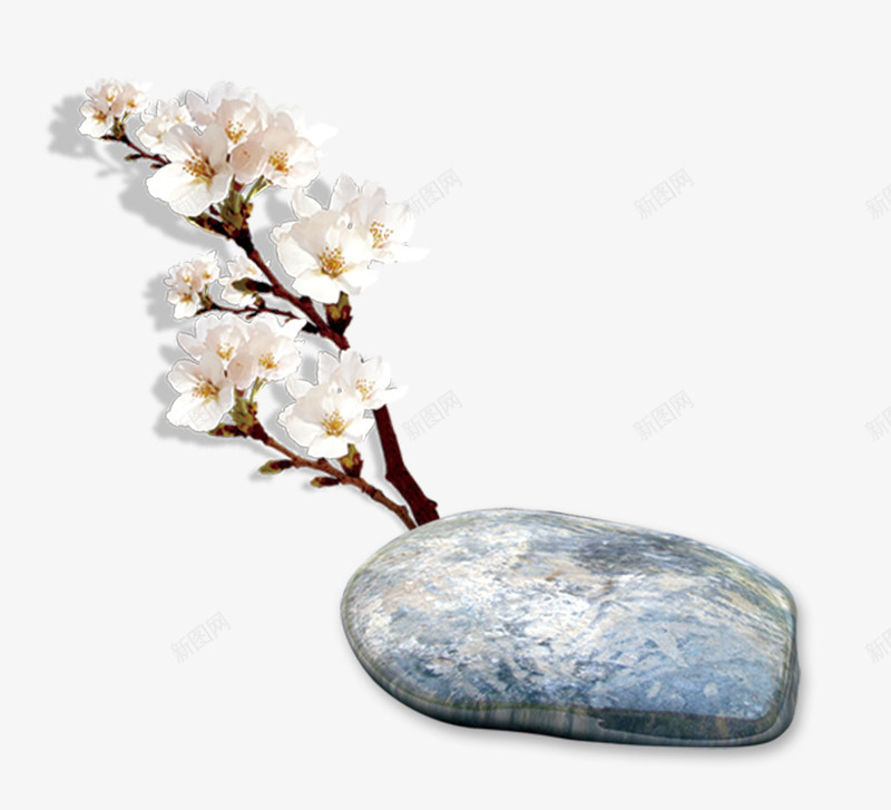 白色樱花枝石头装饰图案png免抠素材_新图网 https://ixintu.com PNG 中国风 樱花枝 白色 石头