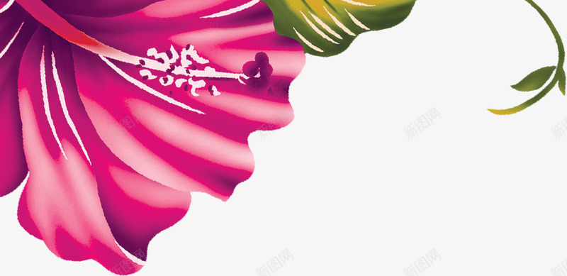 紫色卡通花朵植物树叶贺卡花纹png免抠素材_新图网 https://ixintu.com 卡通 树叶 植物 紫色 花朵 花纹 贺卡