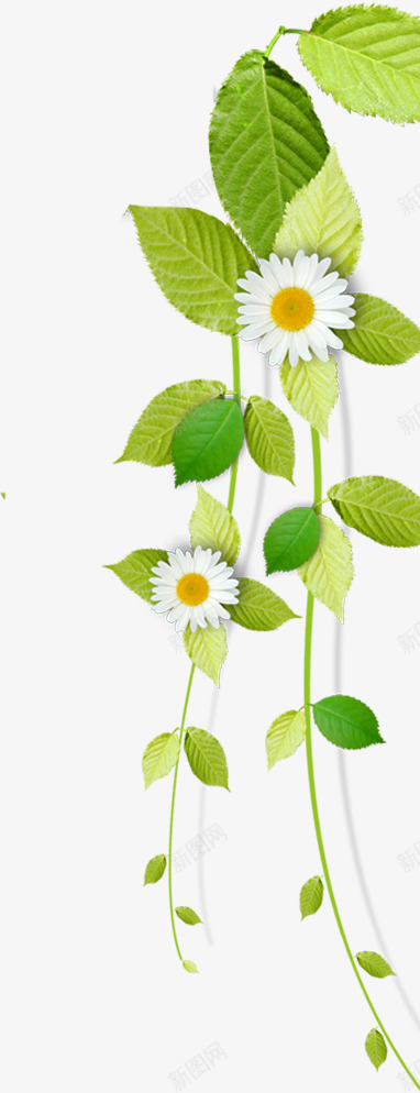 绿色清新夏日清凉树叶花朵png免抠素材_新图网 https://ixintu.com 夏日 树叶 清凉 清新 绿色 花朵