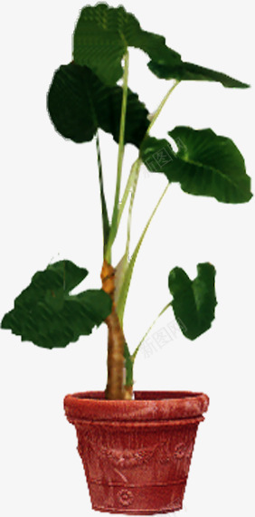手绘荷叶园林景观植物png免抠素材_新图网 https://ixintu.com 园林 景观 植物 荷叶