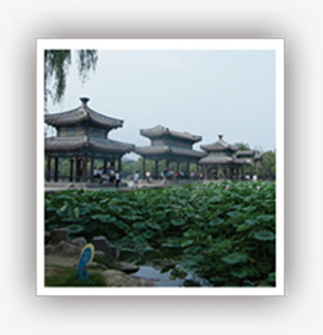 绿色荷叶池塘风光建筑亭台png免抠素材_新图网 https://ixintu.com 亭台 建筑 池塘 绿色 荷叶 风光