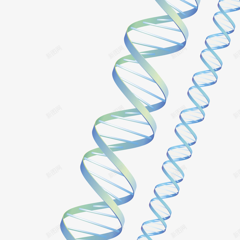 螺旋基因立体插画png免抠素材_新图网 https://ixintu.com 免抠PNG 医疗 基因 生物 科学 科技 螺旋基因立体插画 酸性
