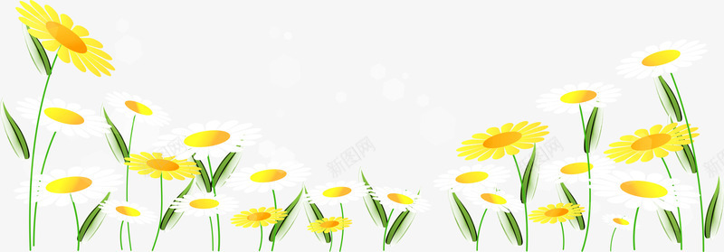 菊花底纹png免抠素材_新图网 https://ixintu.com 卡通 底纹 手绘 花纹 花边 菊花