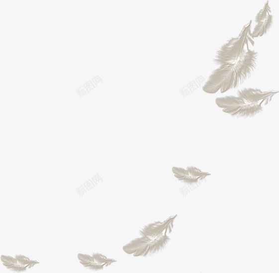 卡通手绘白色羽毛png免抠素材_新图网 https://ixintu.com 漂浮素材 白色 白色羽毛 羽毛