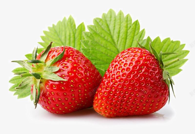 新鲜的草莓水果png免抠素材_新图网 https://ixintu.com 切开的草莓 大草莓 奶油草莓 新鲜的草莓水果 红色的奶油草莓 红色的草莓