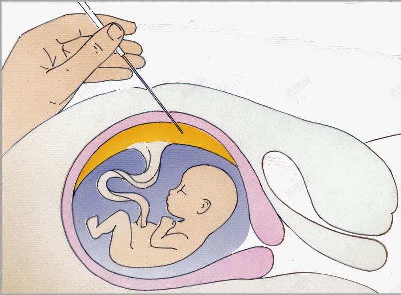 胚胎里的胎儿png免抠素材_新图网 https://ixintu.com 出生 婴儿 宝宝 小娃娃 新生儿 母婴 胎儿 胚胎 脐带 脐带血 诞生 降临