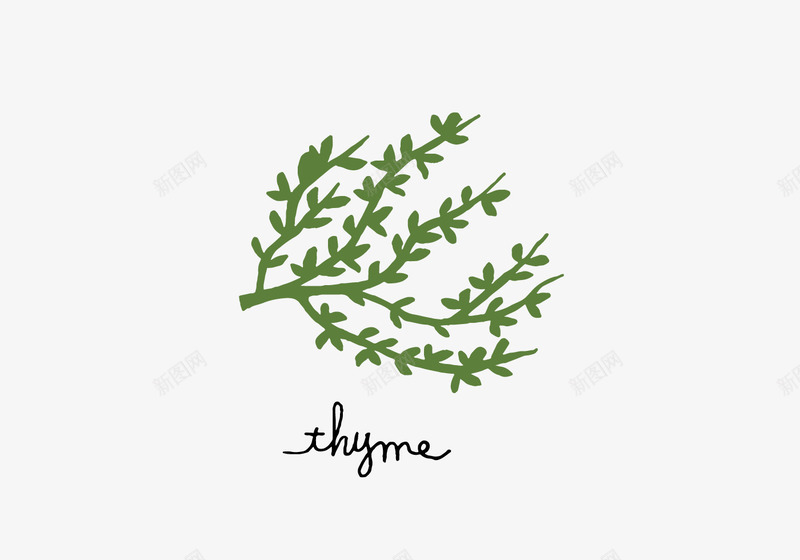 手绘草药png免抠素材_新图网 https://ixintu.com 手绘图片 植物 草药 薄荷叶