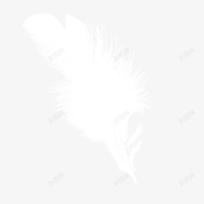 羽毛png免抠素材_新图网 https://ixintu.com 天使 白色羽毛 鸡毛