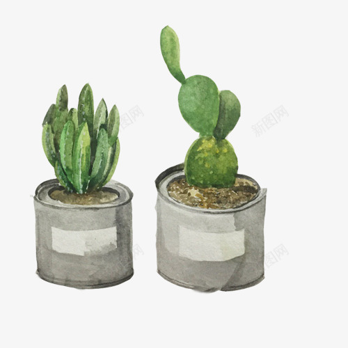 仙人掌盆栽片png免抠素材_新图网 https://ixintu.com 仙人掌 带刺 手绘植物 油漆桶 盆栽 绿色植物