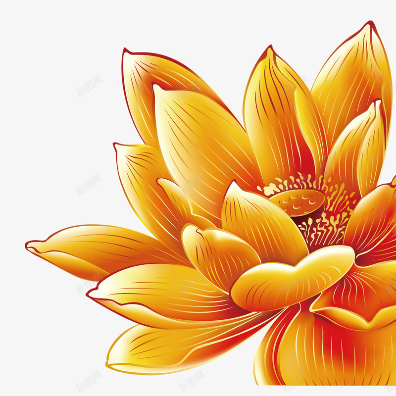 金色荷花png免抠素材_新图网 https://ixintu.com 花 花朵 荷花 莲花 金色