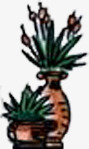 手绘植物盆栽主页png免抠素材_新图网 https://ixintu.com 主页 植物 盆栽