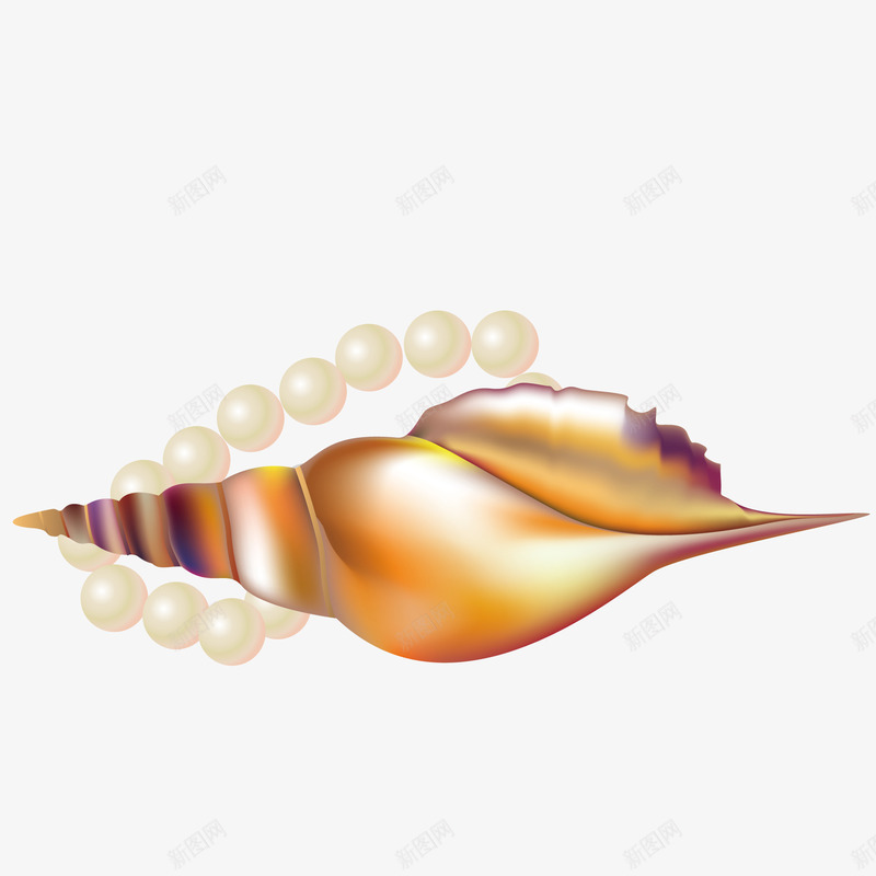 艺术海螺png免抠素材_新图网 https://ixintu.com 形状 时尚 珍珠 珠宝 金色