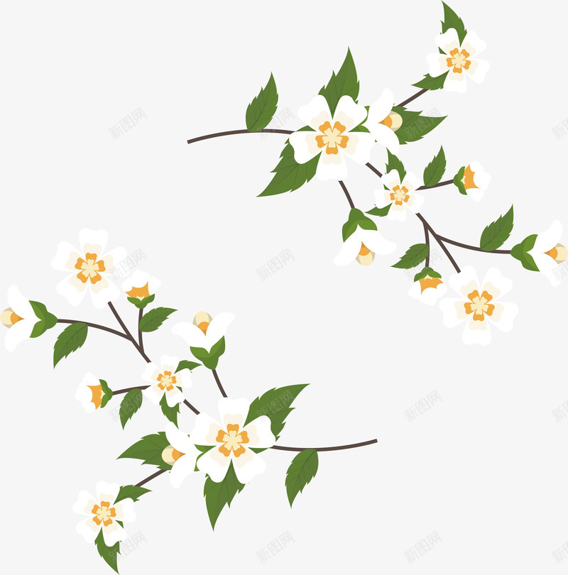 茉莉花藤标题框png免抠素材_新图网 https://ixintu.com 白色花朵 白花 白花花藤 矢量png 茉莉 茉莉花藤