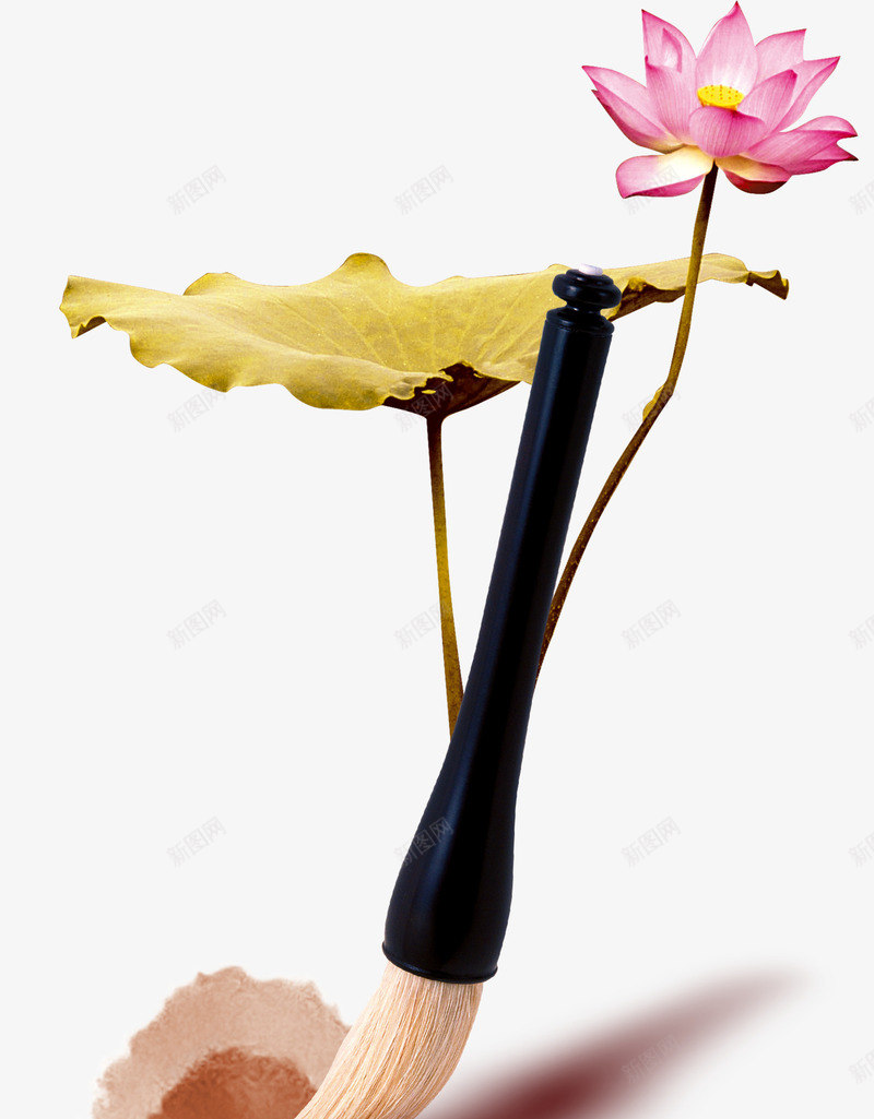 手绘荷花荷叶图案png免抠素材_新图网 https://ixintu.com 图案 手绘 荷叶 荷花