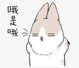 哦是哦灰兔子表情png免抠素材_新图网 https://ixintu.com 兔子 表情