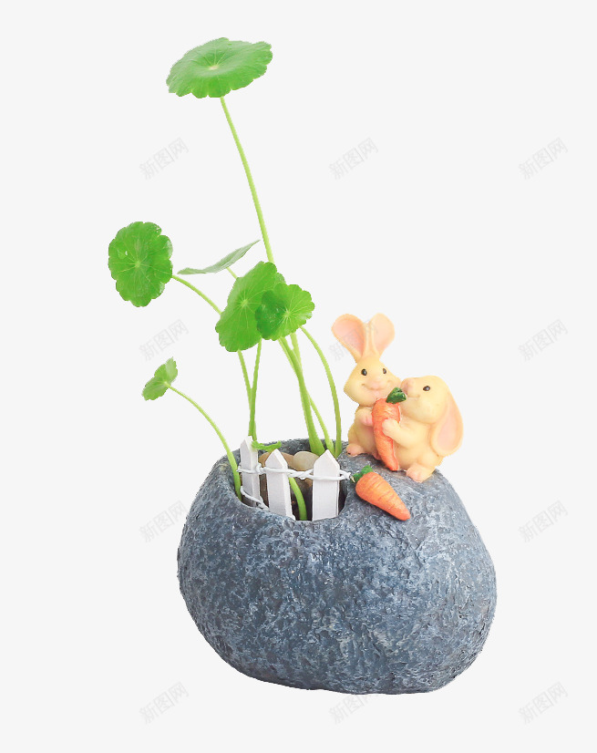 居家植物铜钱草png免抠素材_新图网 https://ixintu.com 免抠素材 居家植物 盆栽 铜钱草