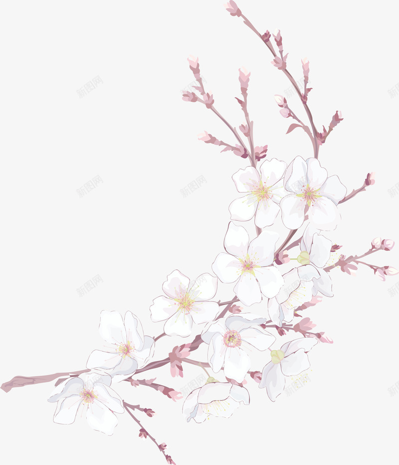 手绘粉红树枝桃花png免抠素材_新图网 https://ixintu.com 树叶 树枝 树藤 绿叶 藤蔓