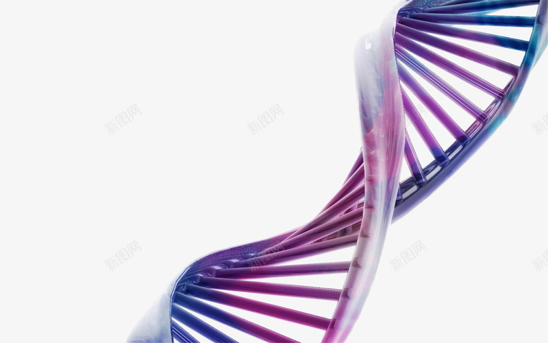 紫蓝色DNA模型png免抠素材_新图网 https://ixintu.com DNA 基因 生物 科技
