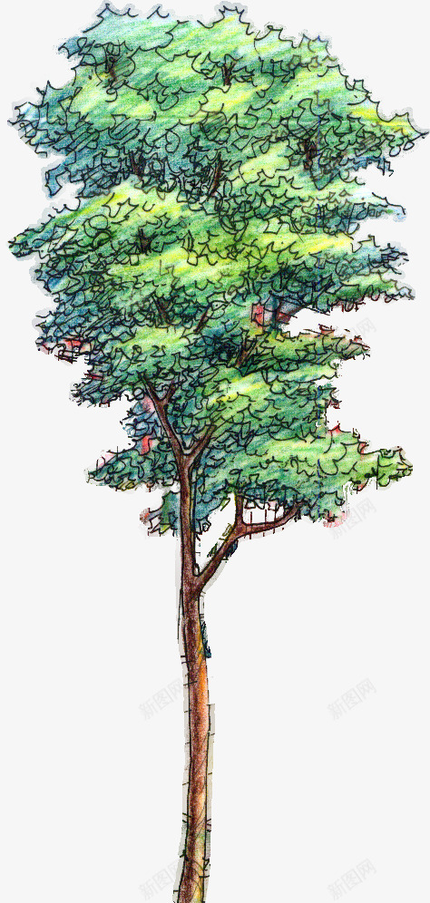 手绘大树园林卡片png免抠素材_新图网 https://ixintu.com 卡片 园林 大树
