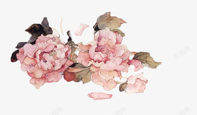 漂亮的古风手绘花朵png免抠素材_新图网 https://ixintu.com 古风 手绘 花朵 花瓣