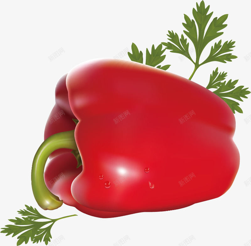 精美蔬菜红辣椒png免抠素材_新图网 https://ixintu.com 精美 红辣椒 蔬菜