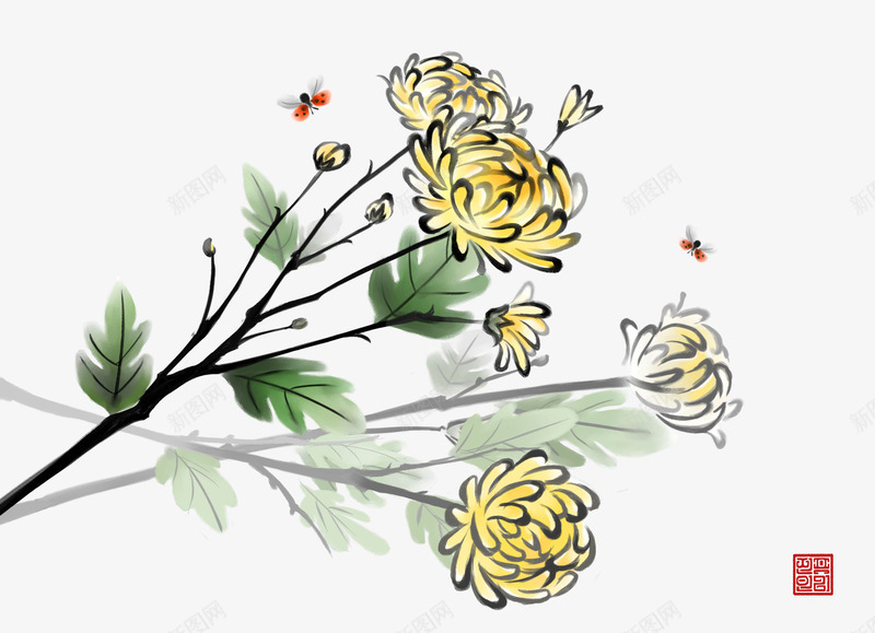 中国画菊花png免抠素材_新图网 https://ixintu.com 中国风 古风水墨画 菊花 蜻蜓 雏菊