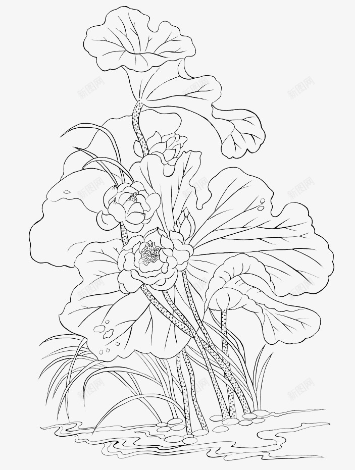 精致莲花线稿图标png_新图网 https://ixintu.com 手绘莲花 精致莲花 荷花线稿 莲花儿 莲花手绘 莲花画稿图片素材 莲花线稿