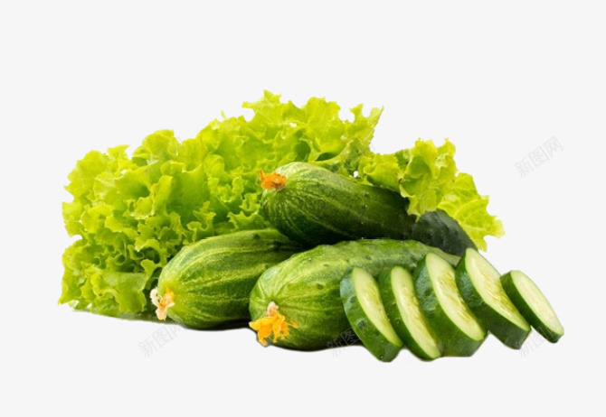 素雅美食黄瓜藤图png免抠素材_新图网 https://ixintu.com 绿色蔬菜 美食 黄瓜 黄瓜叶 黄瓜片 黄瓜藤