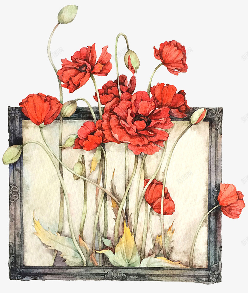 花草绘集牡丹png免抠素材_新图网 https://ixintu.com 单页 手绘 板报 海报 点缀 牡丹 画框 花草 装饰