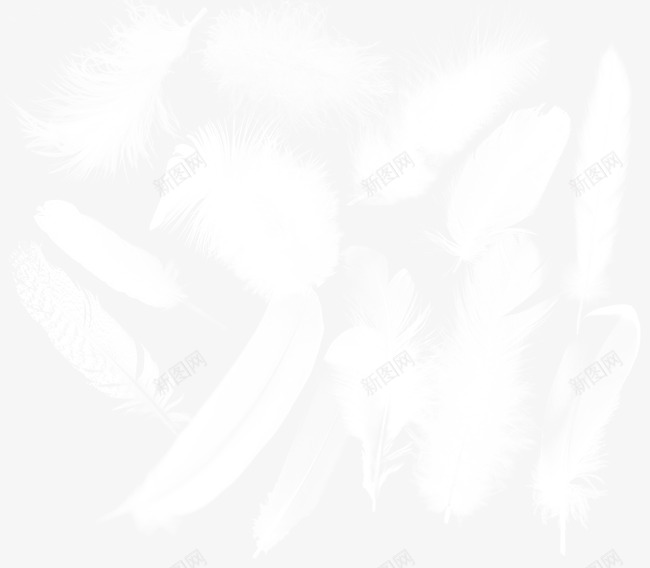 羽毛png免抠素材_新图网 https://ixintu.com 白色羽毛 羽毛 飘落的羽毛
