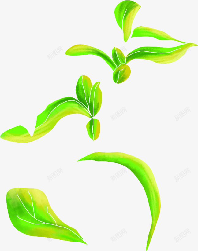 绘画绿色叶子卡片png免抠素材_新图网 https://ixintu.com 卡片 叶子 绘画 绿色