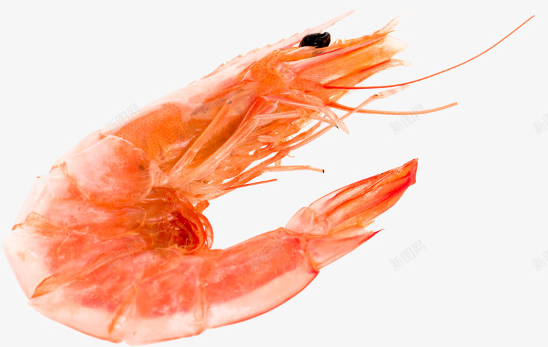 虾干png免抠素材_新图网 https://ixintu.com 虾 虾干 食品