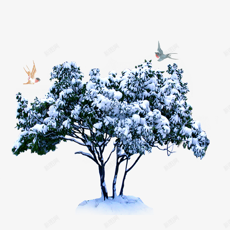 冬季里的树木psd免抠素材_新图网 https://ixintu.com 免抠树 冬季 小鸟 里的树木 雪花装饰 飞翔的鸟