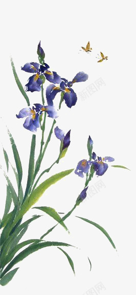 手绘兰花png免抠素材_新图网 https://ixintu.com 中国风 国画 水墨 水彩兰花