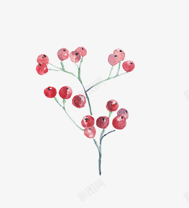 圣诞节手绘花纹png免抠素材_新图网 https://ixintu.com 圣诞 圣诞树 圣诞老人 圣诞节 手绘 树叶 树枝 植物 水彩 水彩插画