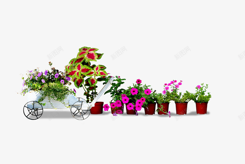 小盆栽png免抠素材_新图网 https://ixintu.com 小花 摆设 桌面 植物 盆栽