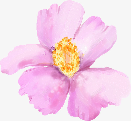 教师手绘花朵贺卡png免抠素材_新图网 https://ixintu.com 教师 花朵 贺卡