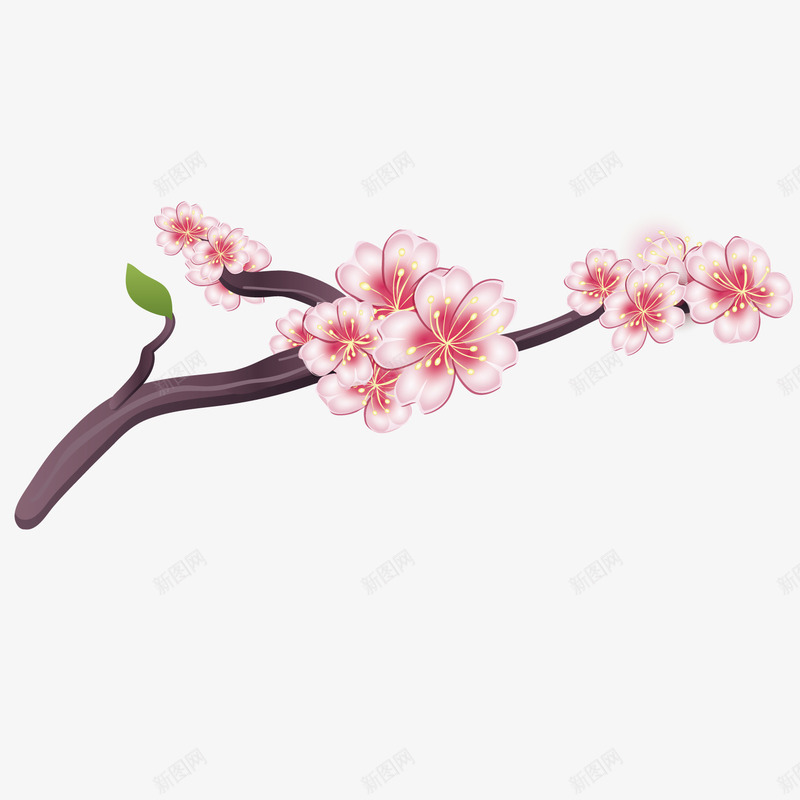 精美梅花png免抠素材_新图网 https://ixintu.com 卡通 树叶 树枝 树藤 梅花 精美 花瓣 花籽