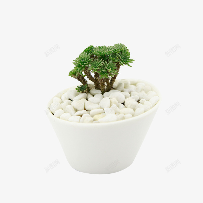 白色盆栽png免抠素材_新图网 https://ixintu.com 植物 白色 白色盆栽图片素材免费下载 盆景 盆栽 绿色 装饰