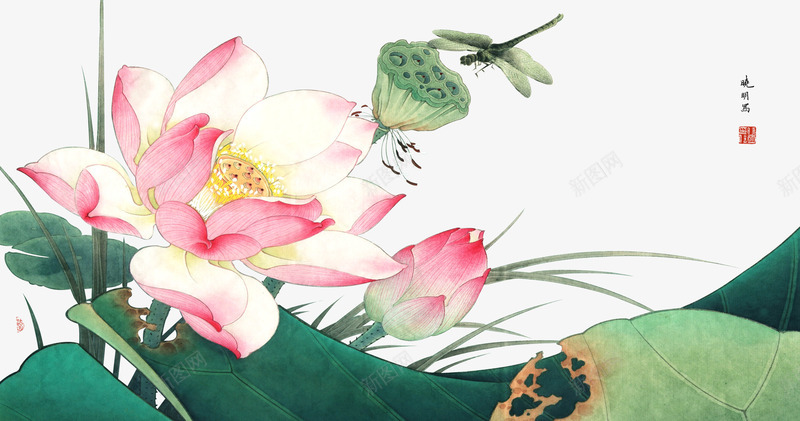 典雅荷花工笔画png免抠素材_新图网 https://ixintu.com 中国风电视背景墙 竹子荷花荷叶满池塘 荷叶 荷花 荷花工笔画 荷韵 莲花 蜻蜓
