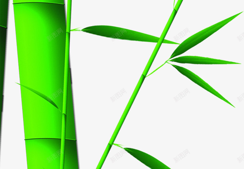 端午节绿色竹子竹叶png免抠素材_新图网 https://ixintu.com 端午节 竹叶 竹子 绿色