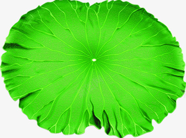 手绘绿色植物荷叶效果png免抠素材_新图网 https://ixintu.com 效果 绿色植物 荷叶